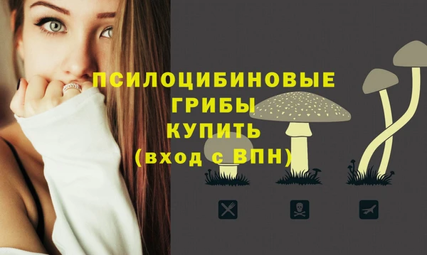 СК Аркадак