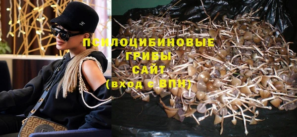 ПСИЛОЦИБИНОВЫЕ ГРИБЫ Армянск